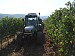 Azienda agricola Poggio Assiolo