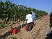 Azienda agricola Poggio Assiolo